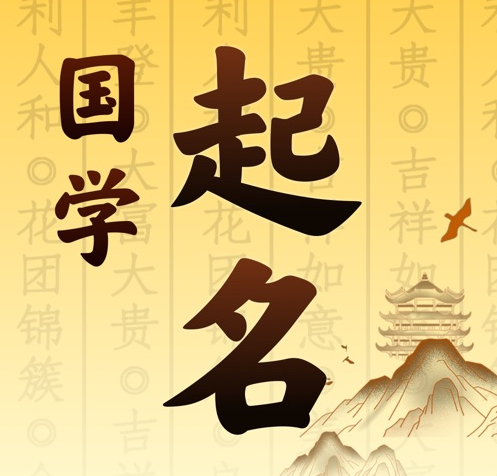 武穴国学起名 人工起名一对一